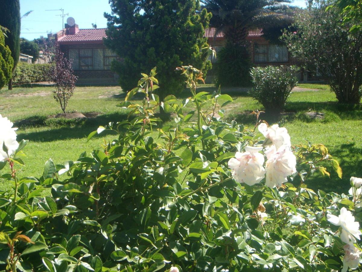 Lion Rock View Guesthouse Maseru Extérieur photo